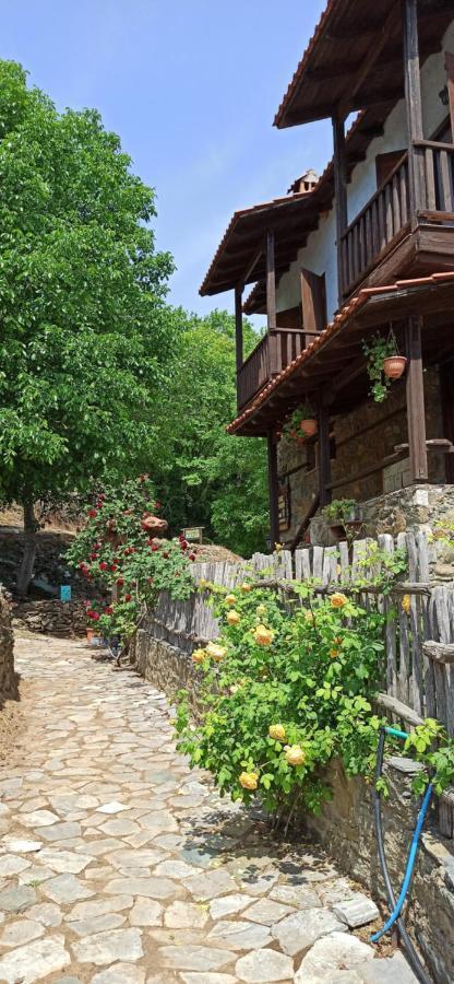 Sintrivanis Mountain Ano Skotina Exterior photo